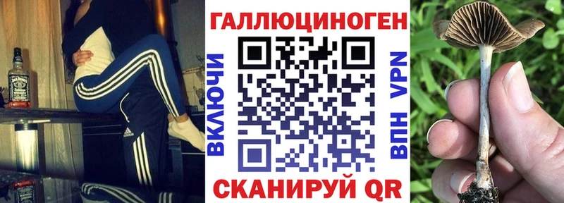 Купить  Челябинск  Галлюциногенные грибы мухоморы 